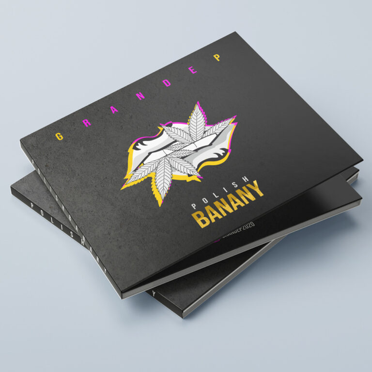 tworzenie materiałów reklamowych okładka płyty